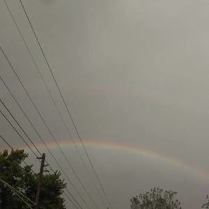 Meet your Posher, Amora